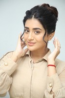 Rashi Singh at Paanch Minar Success Meet
